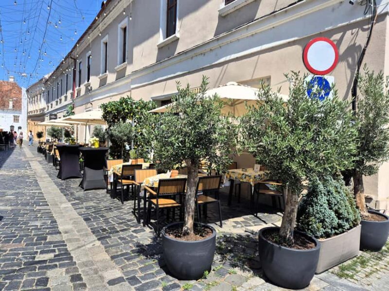 Cluj Insight: Walking tour with a travel writer & historian - Strada Iuliu Maniu and Piaa Unirii: Streets of Change and Celebration