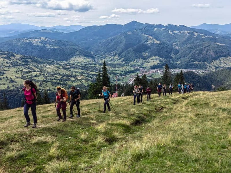 Cluj Napoca: Rodnei Mountains Full-Day Guided Hiking Tour - Explore the Majestic Rodnei Mountains on a Full-Day Guided Tour from Cluj Napoca