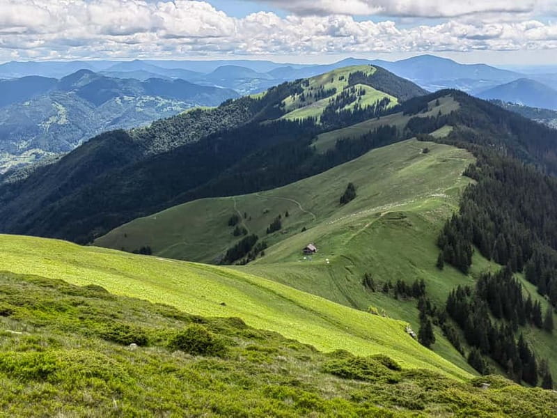 Cluj Napoca: Rodnei Mountains Full-Day Guided Hiking Tour - Transportation from Cluj-Napoca to the Mountain Wilderness