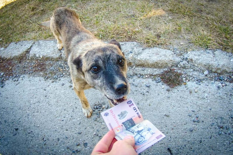 Cluj-Napoca Urban Photography for Beginners Workshop - What’s Included and What to Bring