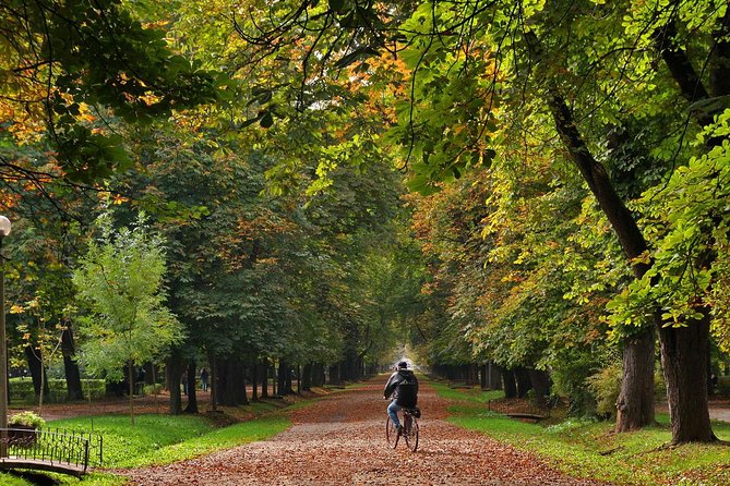 Cluj-Napoca Walking City Tour - Meeting Point and Tour Duration