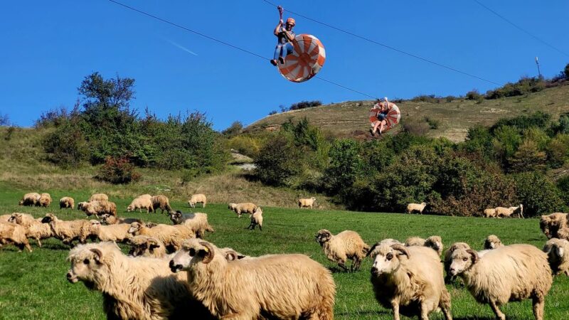 Cluj: Outdoor Activities Day Trip with Zip Line and Hike - Climbing and Walking Trails within Turda Gorge