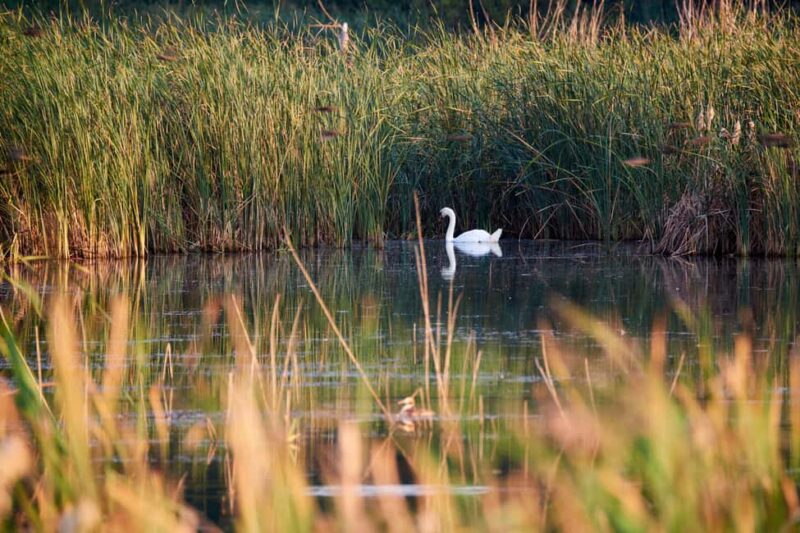 Cluj: Private Nature and Wildlife Photography Class - Comparing This Tour to Similar Photography Experiences