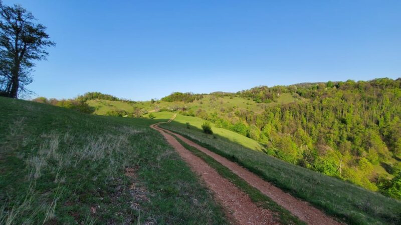 Cluj to Rosia: Day Trip to Ferrata and pittoresque country - Scenic Hiking and Trail Running in Valea Dalbii