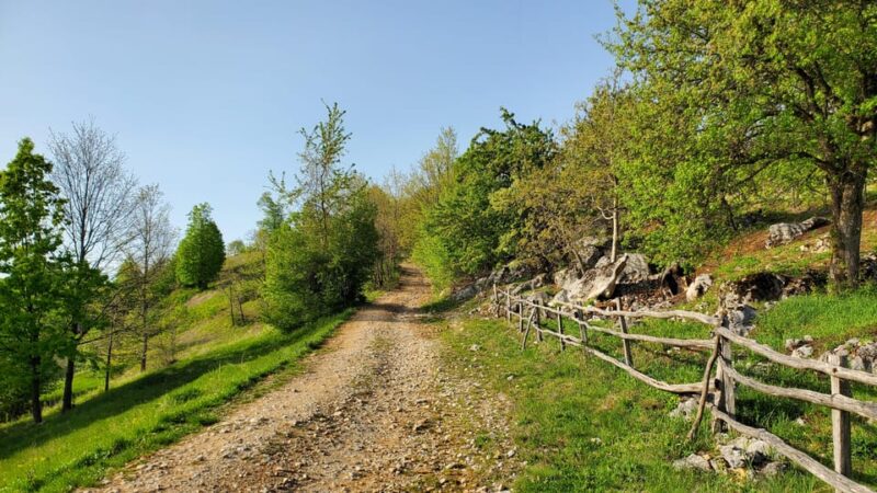 Cluj to Rosia: Day Trip to Ferrata and pittoresque country - Practical Details and Logistics