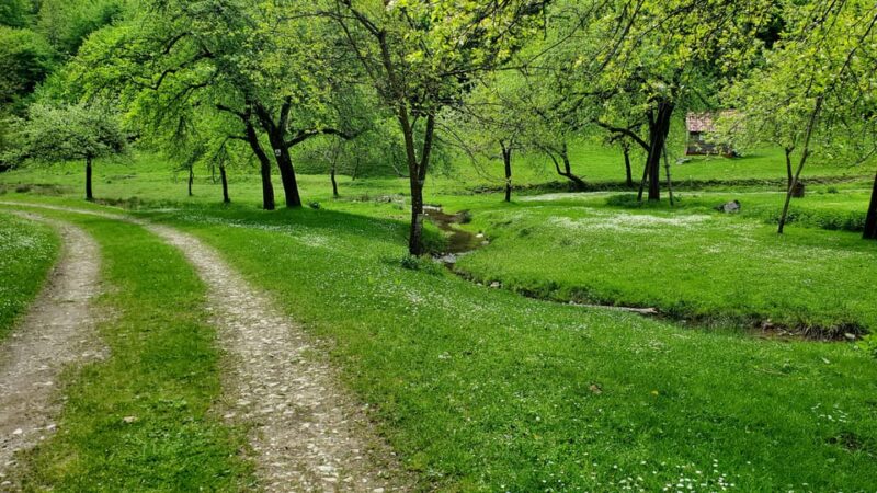 Cluj to Rosia: Day Trip to Ferrata and pittoresque country - Flexibility and Cancellation Policy