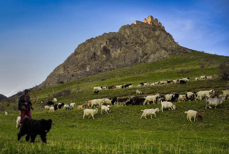Cluj: Turda Salt Mines, Rimetea, and Coltesti Fortress Tour - Guides and Language Options