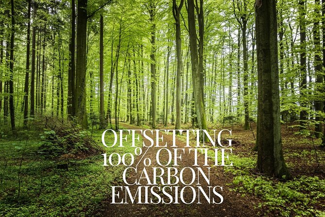 CO2-Offset Departure Private Transfer Cefalù to Palermo Airport - Flexible Timing and Availability