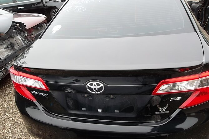 CO2-Offset Departure Transfer Palermo City to Palermo Airport - Key Points