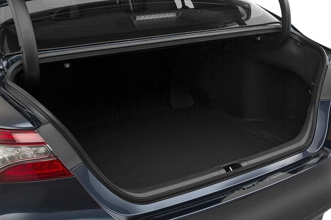 CO2-Offset Departure Transfer Palermo City to Palermo Airport - Who Should Book This Transfer?