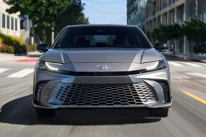 CO2-Offset Departure Transfer Palermo City to Palermo Airport - The Experience of Booking with RhomTrip