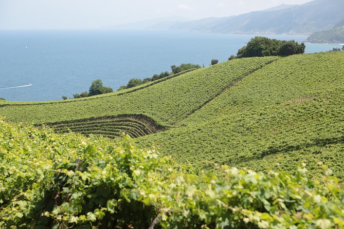 Coast, fish and txakoli wine - Key Points