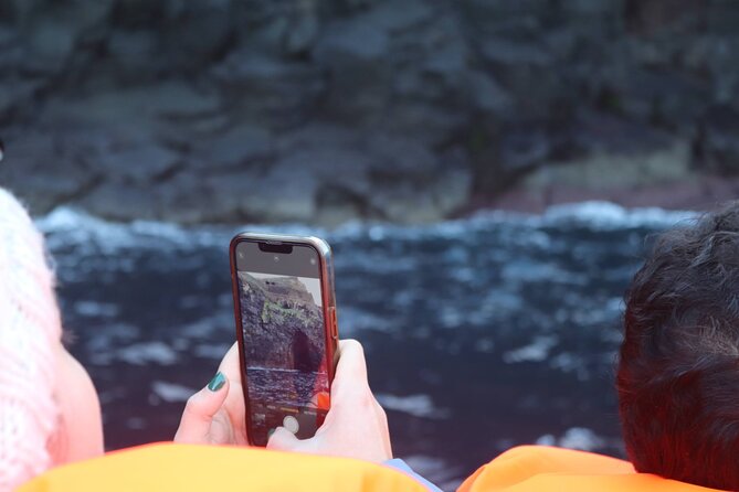 Coastal boat tour in Ribeira Grande and Porto Formoso - Discover the Coastal Boat Tour in São Miguel for $85.98