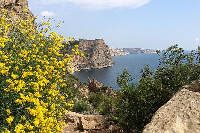 Coastal Cliffs & Beaches: Private Full Day Tour - Lunch with Clifftop Views at a Local Restaurant