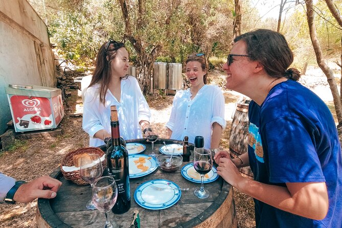 Coastal Vineyards: A Dream Wine Tour to Elaphiti Islands - Discover the Coastal Vineyards Tour: Private Boat & Wine Tasting from Dubrovnik