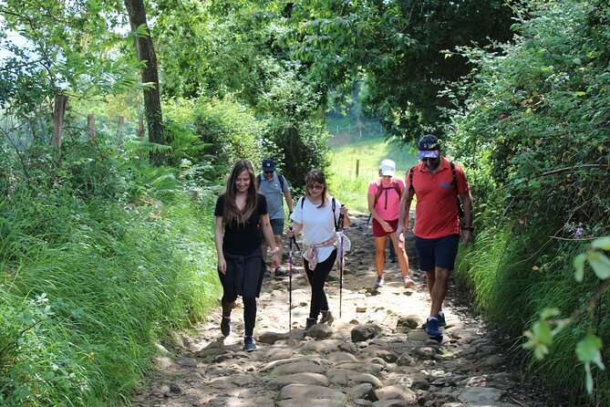 Coastal "Winery Camino Trail" Walking Tour from San Sebastian - Exploring Zarautz: From Beach to Medieval Streets