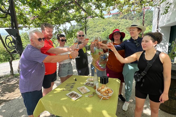 Coastal "Winery Camino Trail" Walking Tour from San Sebastian - Food and Beverage Experiences in Detail