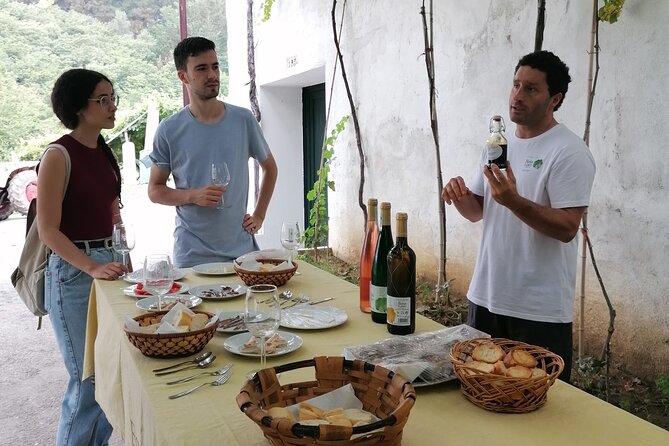 Coastal "Winery Camino Trail" Walking Tour from San Sebastian - Logistics and Practical Details