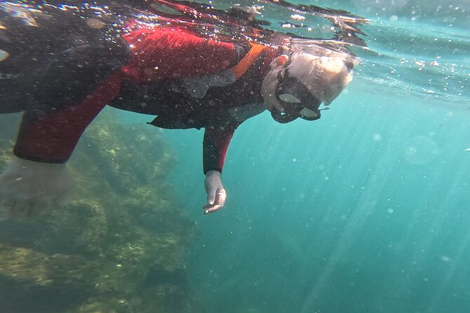 Coasteering in Caloura (Sao Miguel - Azores) - The Role of Certified Guides in Ensuring Safety and Fun