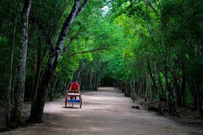 Coba Mayan Ruins and Cenote Cultural Full-Day Tour from Riviera Maya - The Guide and Overall Experience