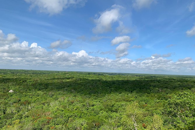 Coba Ruins and Punta Laguna Monkey Reserve Day Tour from Tulum - What Sets This Tour Apart from Similar Options