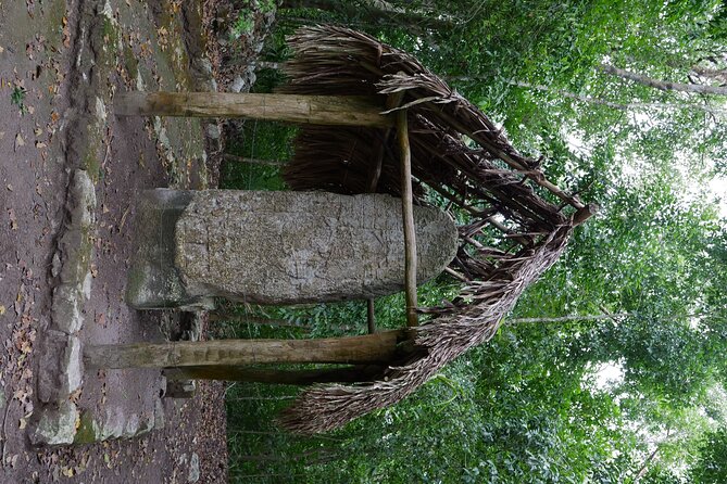 Cobá Ruins Mayan Village and Cenote Tour from Riviera Maya - Comparing this Tour to Other Local Experiences