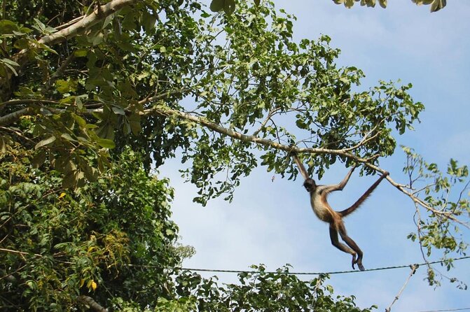 Coba Ruins, Punta Laguna Nature Reserve, Cenote and Mayan family - Visiting the Ancient Coba Ruins with a Motorcycle or Bike