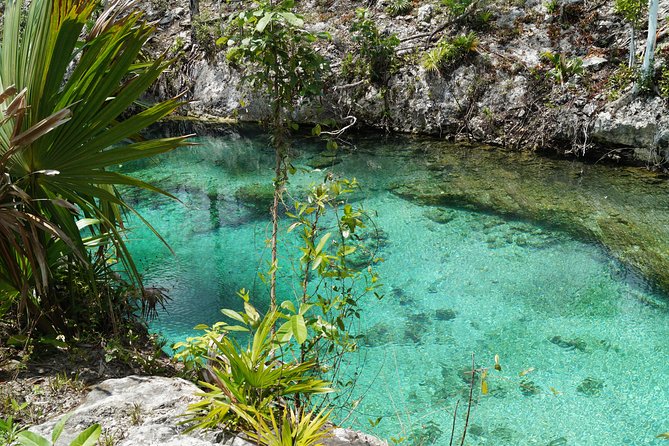 Coba, Tulum, Cenote and Mayan Village All Inclusive Tour - Swimming in a Cenote: Refreshing in a Forested Underground Lake