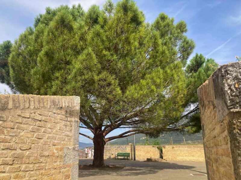 Cobblestones Tour Pamplona: Immersive Medieval Tour English - The Importance of Weather Considerations