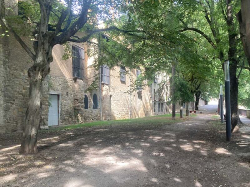 Cobblestones Tour Pamplona: Immersive Walking Tour in English - What Makes the Guide’s Storytelling Unique