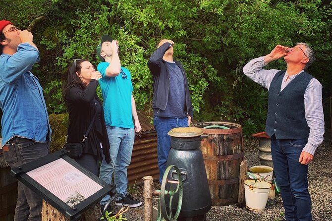 Cobh cruise excursion, Blarney, Cork & Kinsale. Car or Minibus. - Key Points