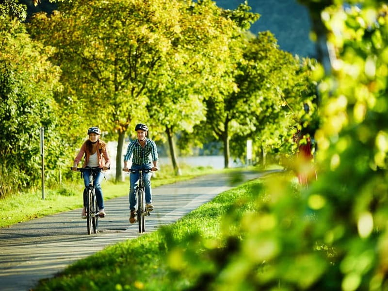 Cochem: Bike and Boat Tour with Picnic and Wine Tasting - Scenic Cycling Along the Moselle River