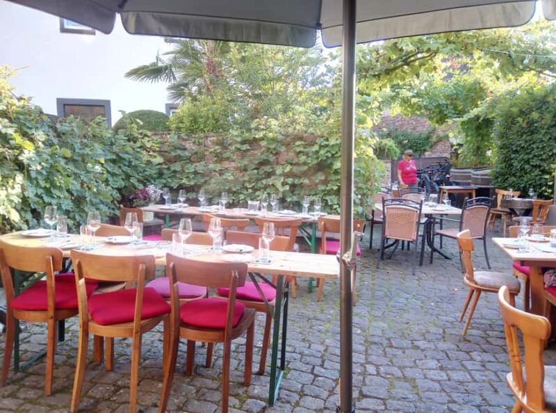 Cochem, Moselle: Wine experience hike with boat trip - Honest Feedback from Past Participants