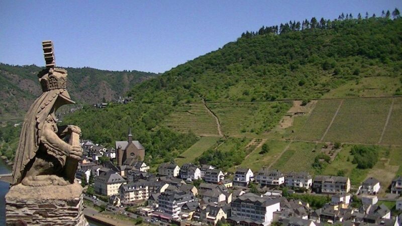Cochem: Private Guided Walking Tour - Cochem’s Market Square and Half-Timbered Houses