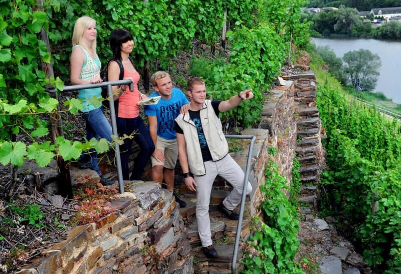 Cochem Wine Adventure Hike - Explore Cochem’s Wine and Nature in a 4-Hour Guided Tour