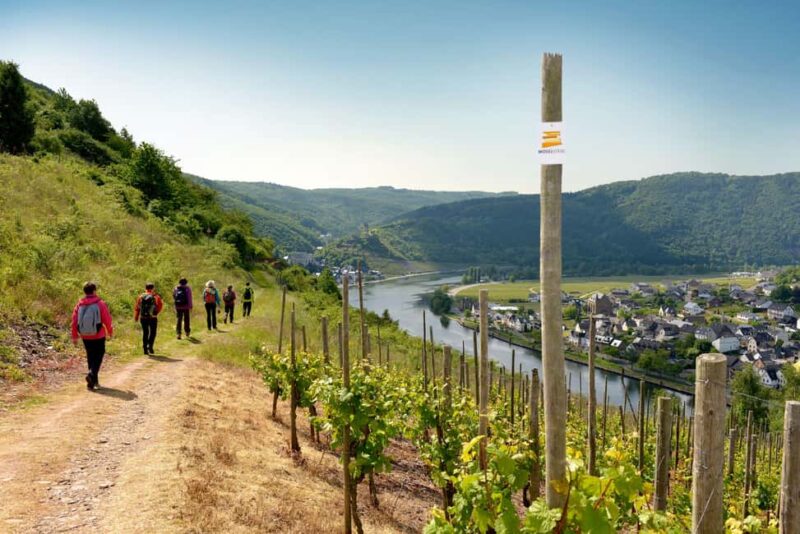 Cochem Wine Adventure Hike - Guided Hike from the Winery to the Viewing Cable Car