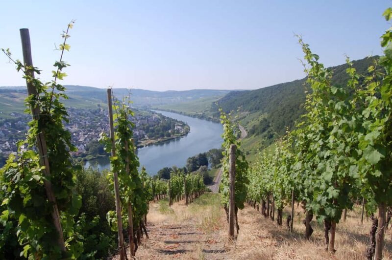 Cochem Wine Adventure Hike - The Scenic Cable Car Ride with Panoramic Views
