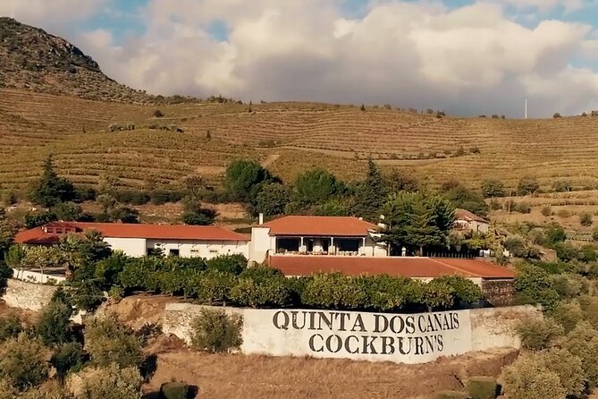 Cockburns Cellar: Visit & Wine Tasting - The Guide’s Role in Enhancing the Experience