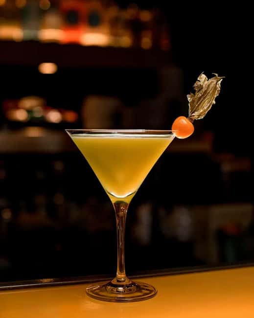 Cocktoil Experience: learn about a journey dedicated to alcohol! - Key Points