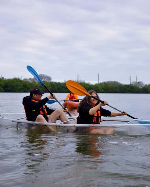 Cocoa Beach: Clear Kayak Sunset & Bioluminescence Tour - Witnessing the Bioluminescence in the Dark