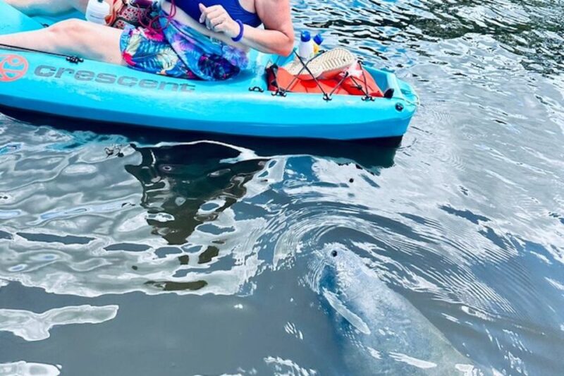Cocoa Beach: Dolphin and Manatee Kayak or Paddle Tour - Wildlife Sightings and Guide Expertise