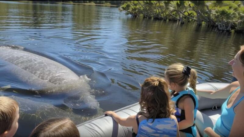 Cocoa Beach: Dolphin & Manatee Small Group Eco Boat Tour - Authentic, Eco-Conscious Wildlife Viewing in Cocoa Beach