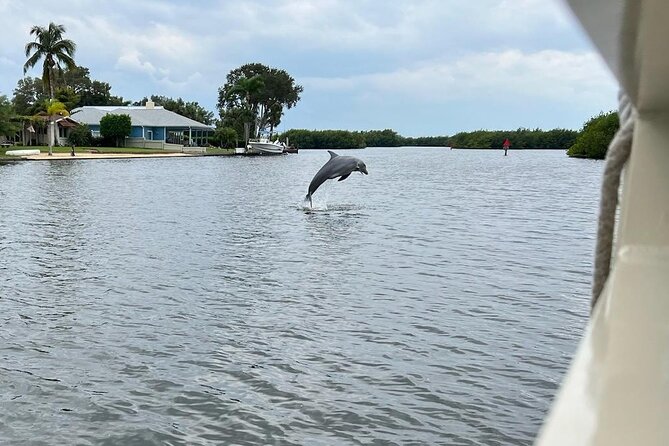 Cocoa Beach Dolphin Tours on the Banana River - Value for Money
