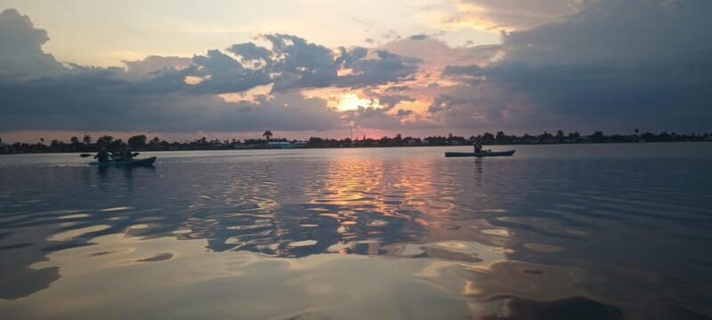 Cocoa Beach/Merritt Island: Guided Dolphin and Manatee Tour - Comparing This Tour to Similar Experiences on the Space Coast