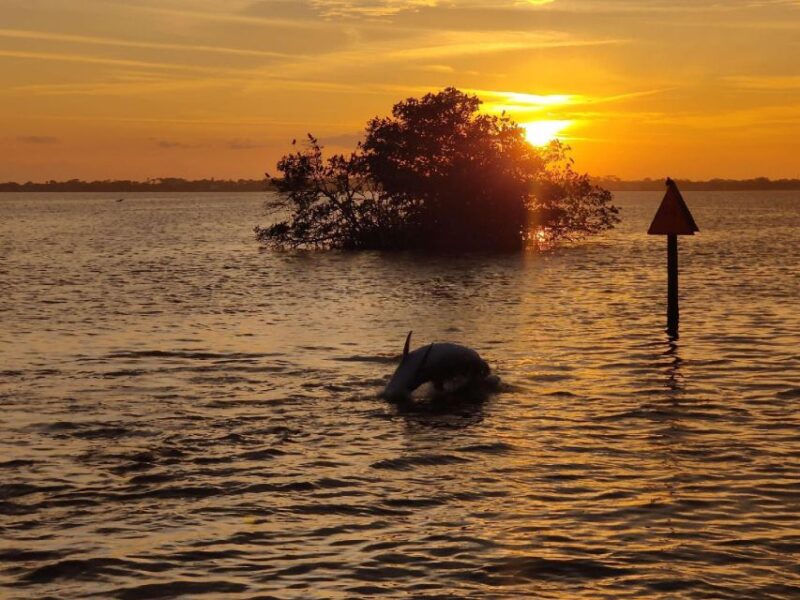 Cocoa Beach: Sunset Cruise - Booking Flexibility and Cancellation Policy