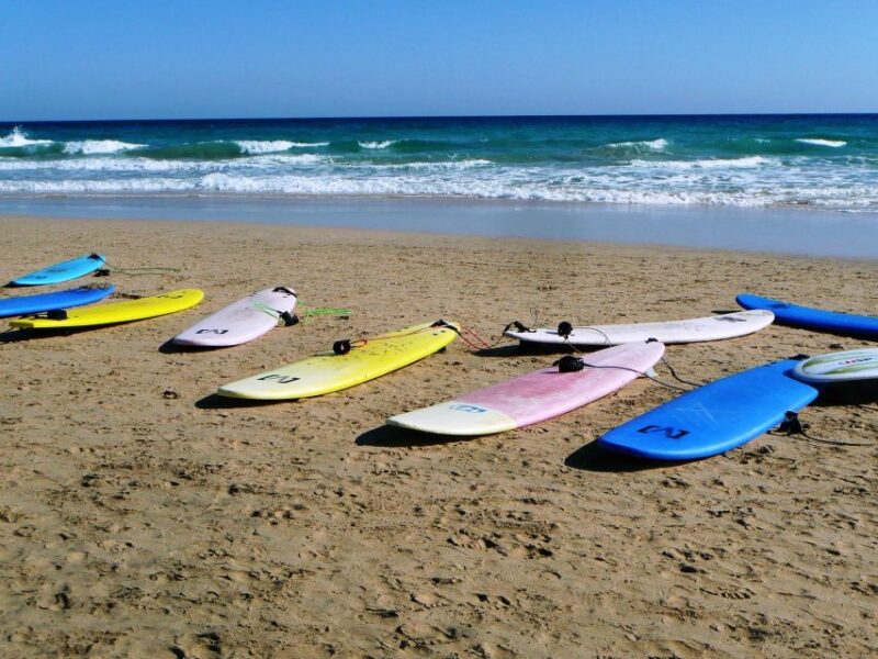 Cocoa Beach: Surfboard Rental - Choosing the Right Surfboard for Your Experience Level
