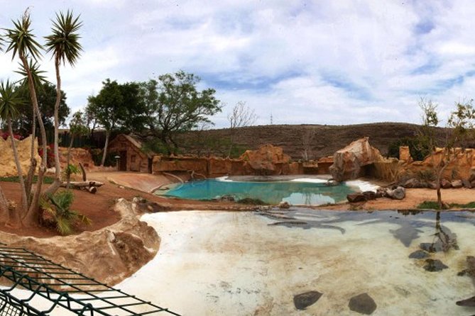 Cocodrilo Park Zoo Admission Ticket in Agüimes - Animal Encounters and Interactive Experiences