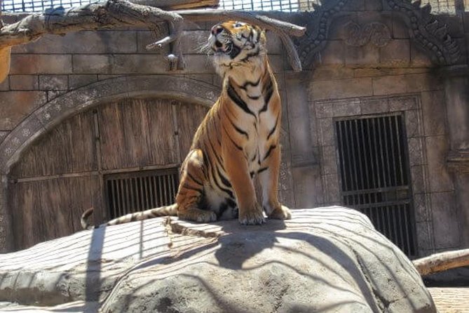 Cocodrilo Park Zoo Admission Ticket in Agüimes - Reviews and Visitor Feedback