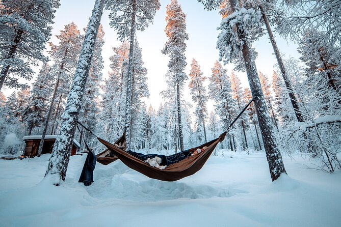 Cocooning in the HaliPuu forest: The ultimate Arctic hammock relaxation - Key Points