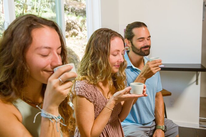 Coffee Brewing Workshop - Experience the Ultimate Coffee Brewing Workshop at Hala Tree Coffee